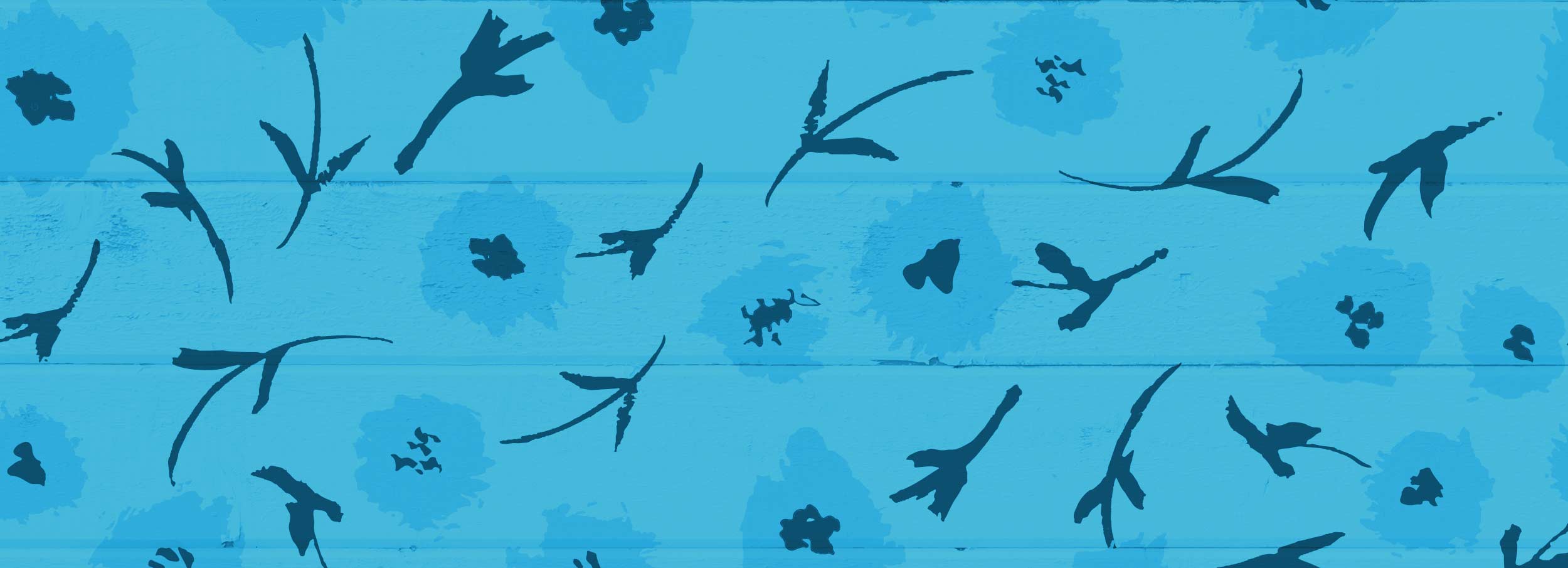 Dr Libby Holistic Nutrition Specialist